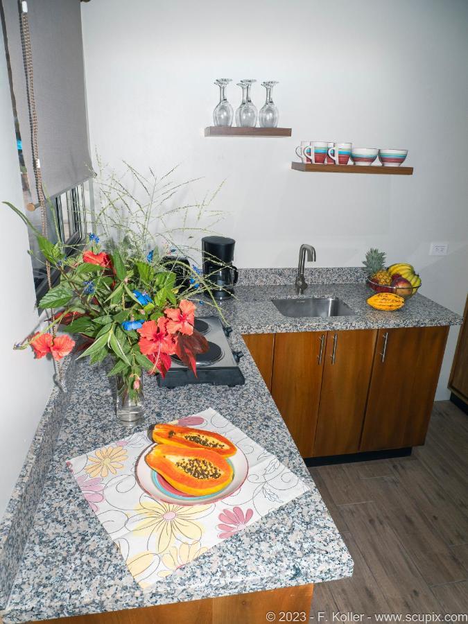 Luxury Apartments Nauyaca By Paradiselodge Platanillo Exteriör bild